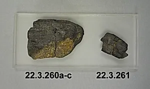 Three fragments of Charcoal