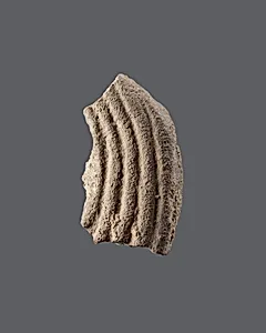 Tile