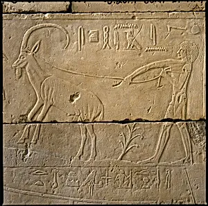 Tomb Chapel of Raemkai: South Wall