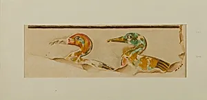 Two Ducks
