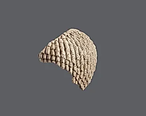 Wig fragment