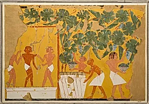 Winemaking, Tomb of Ipuy