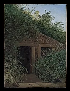 An Overgrown Mineshaft