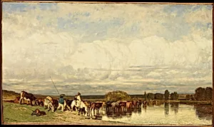 Cows Crossing a Ford