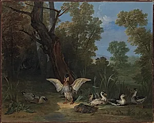 Ducks Resting in Sunshine