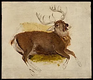 Dying Stag