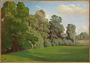 Edge of a Wood