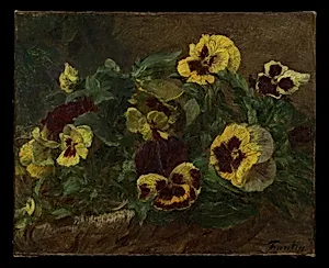 Pansies