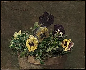 Potted Pansies