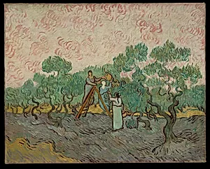 Women Picking Olives