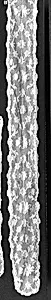 Barbe (one of three pieces) by Unknown Artist