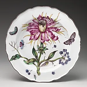 Botanical plate with thistle by Chelsea Porcelain Manufactory