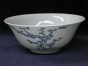 Bowl