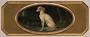 Box with portrait of a whippet