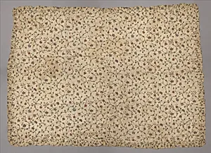 Coverlet