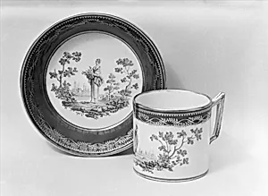 Cup and saucer by Tournai