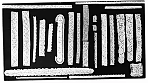 Fragment by Unknown Artist