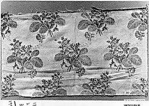 Fragment