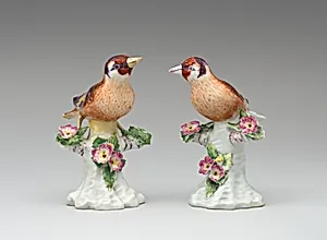 Pair of finches