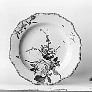 Plate