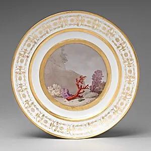 Plate with marine subject