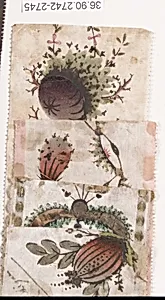 Ribbon