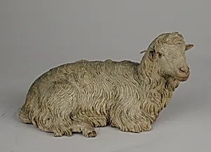 Seated sheep