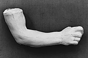Study of an arm by Auguste Rodin