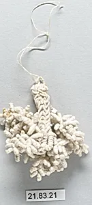 Tassel by Unknown Artist