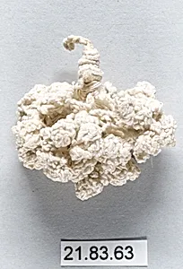 Tassel by Unknown Artist