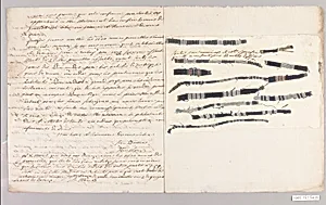 Textile swatch (one of 12)