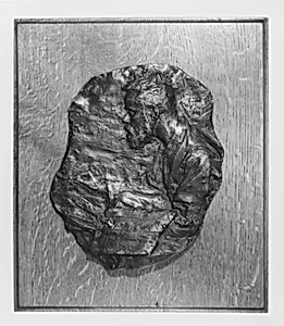 The Painter Maximilien Luce