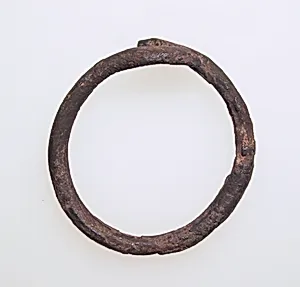 Bracelet with snakes' heads