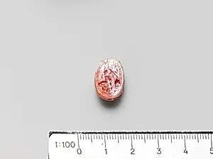 Carnelian scarab