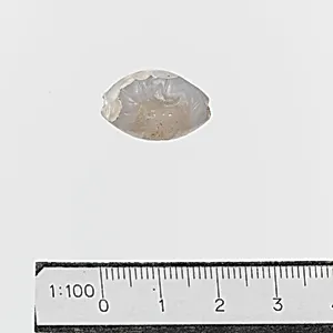 Chalcedony amygdaloid seal