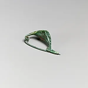 Fibula by Unknown Artist