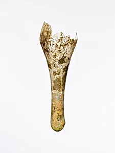 Glass fusiform bottle fragment