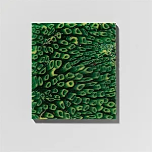 Glass revetment plaque fragment