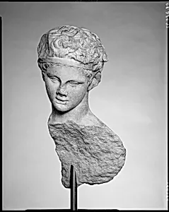 Head and part of the back of a marble statue