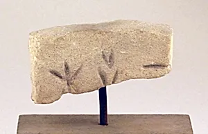 Limestone inscribed box fragment by Unknown Artist