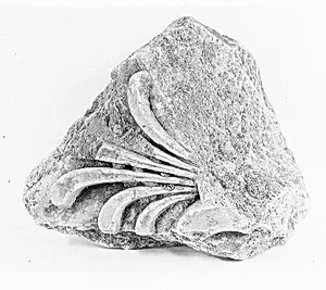 Marble architectural fragment with palmette from the Temple of Artemis at Sardis