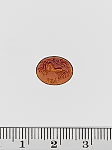 Sard ring stone