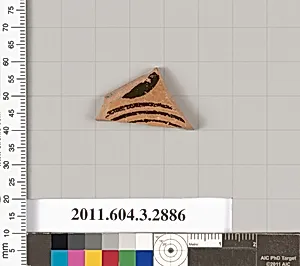 Terracotta fragment of a closed shape by Unknown Artist
