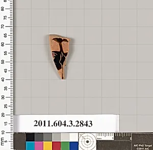 Terracotta fragment of a closed shape by Unknown Artist