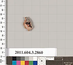 Terracotta fragment of a closed shape by Unknown Artist