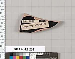 Terracotta fragment of a kylix (drinking cup) by Angular Painter