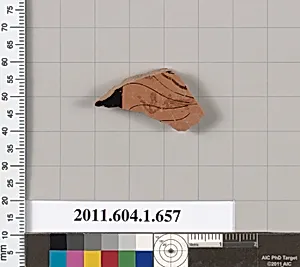 Terracotta fragment of a kylix (drinking cup)
