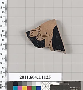 Terracotta fragment of a kylix (drinking cup)