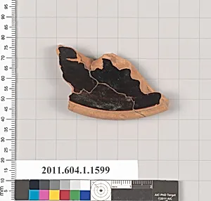 Terracotta fragment of a kylix? (drinking cup)