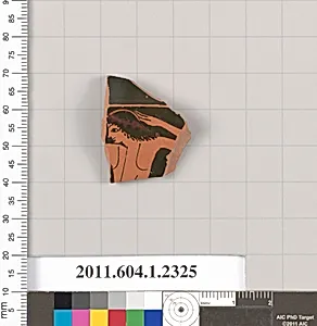 Terracotta fragment of a kylix (drinking cup)